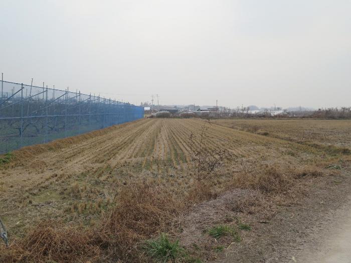 경기도 이천시 모가면 산내리 105 법원경매 물건 대표사진