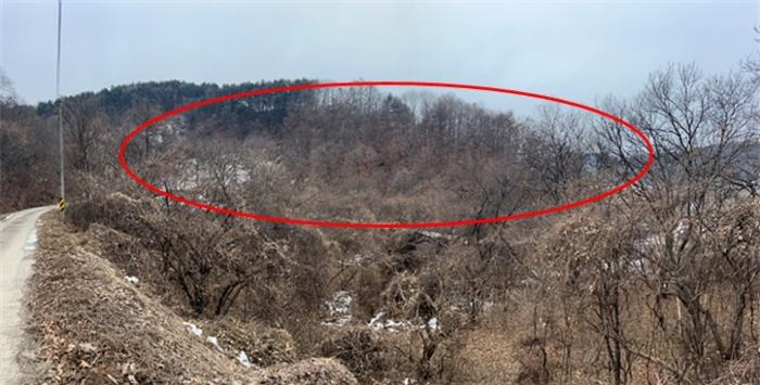 법원경매 2024타경42558 사진4 | 양평군 청운면 가현리 401-1 임야 경매