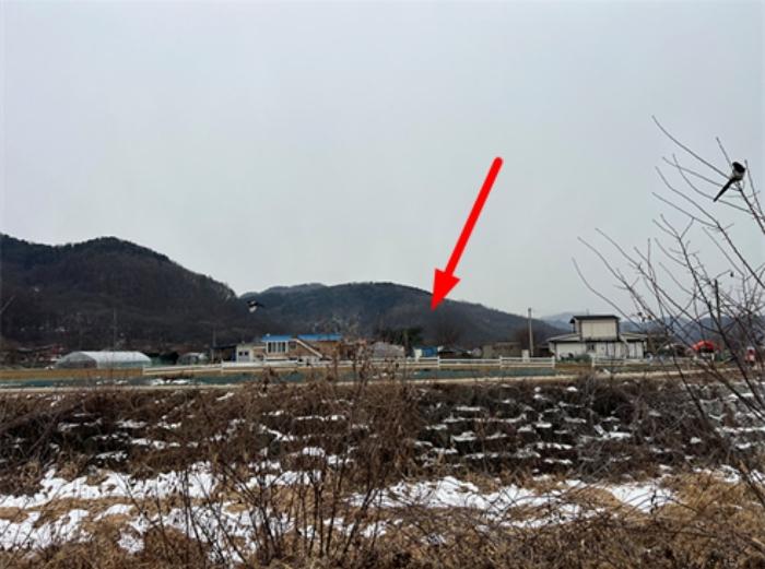 법원경매 2024타경42558 사진5 | 양평군 청운면 가현리 401-1 임야 경매