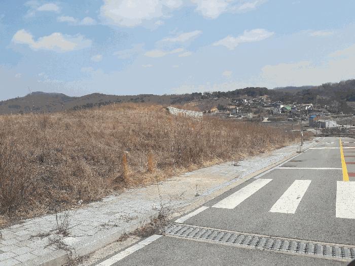 2025타경1337 법원경매 사진6 | 세종 장군면 대지 경매