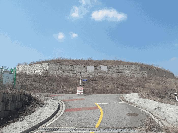 2025타경1337 법원경매 사진7 | 세종 장군면 대지 경매