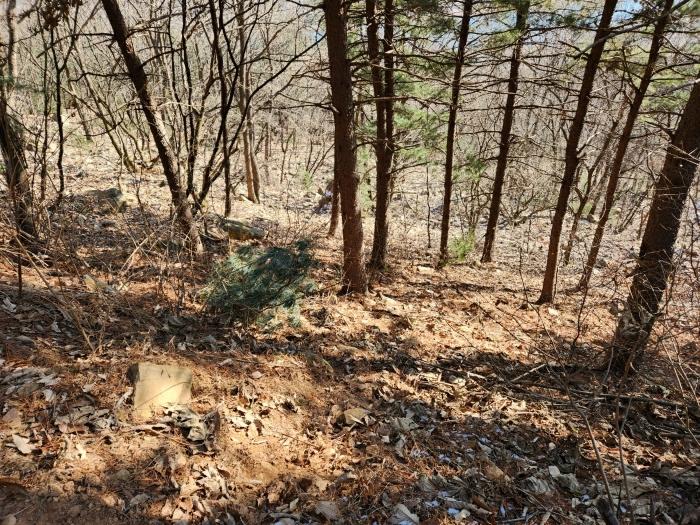 법원경매 2024타경86727 사진5 | 남양주시 화도읍 금남리 임야 경매