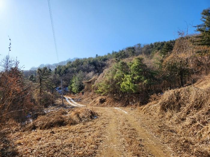 법원경매 2024타경86727 사진6 | 남양주시 화도읍 금남리 임야 경매