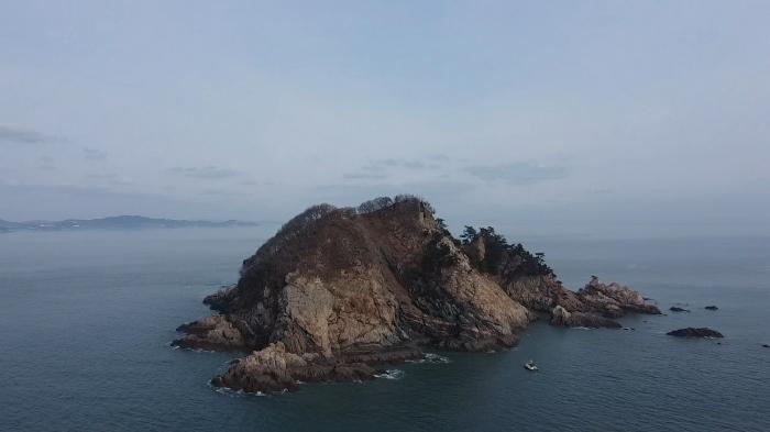 충청남도 태안군 근흥면 신진도리 산19 법원경매 물건 대표사진
