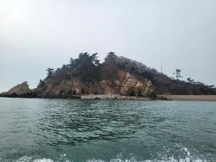 2024타경158 법원경매 사진11 | 충남 태안군 임야 경매