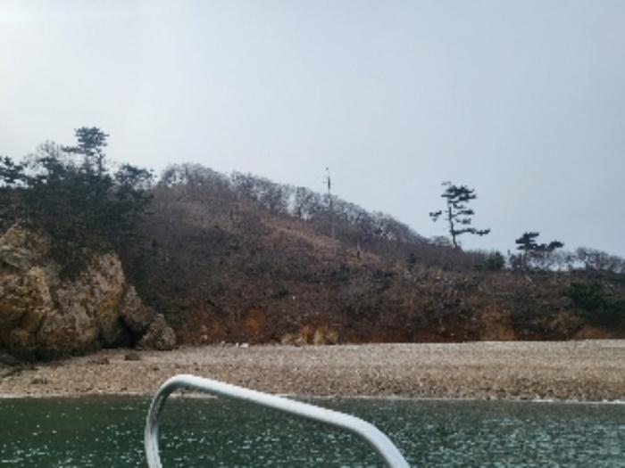 2024타경158 법원경매 사진19 | 충남 태안군 임야 경매