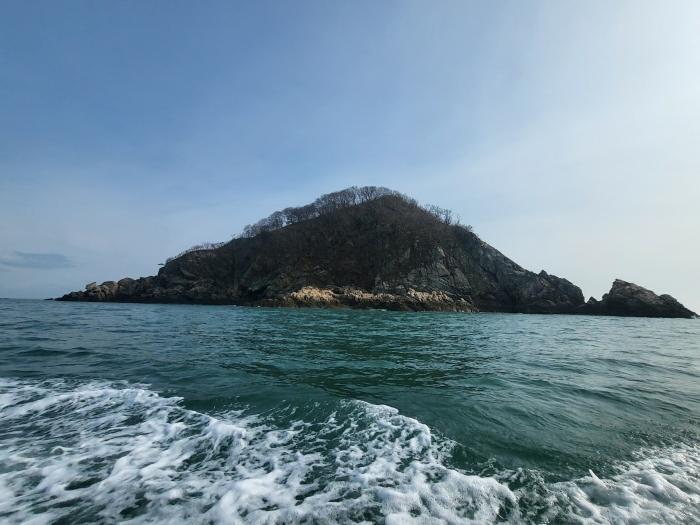 2024타경158 법원경매 사진2 | 충남 태안군 임야 경매