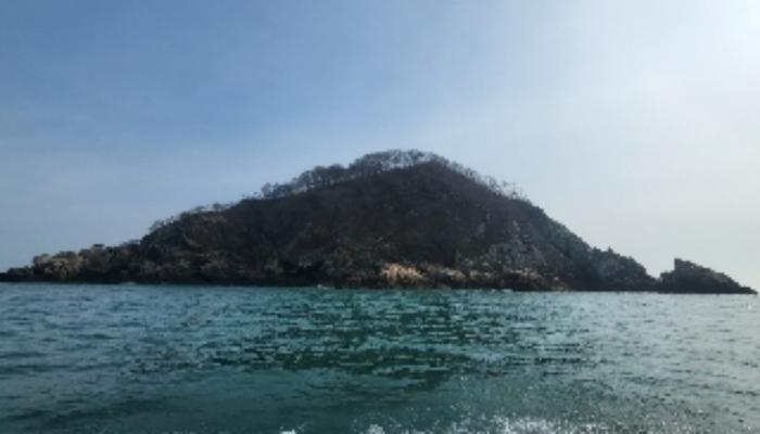 2024타경158 법원경매 사진23 | 충남 태안군 임야 경매