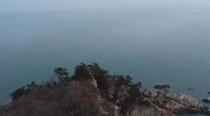 2024타경158 법원경매 사진24 | 충남 태안군 임야 경매