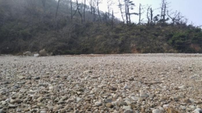 2024타경158 법원경매 사진25 | 충남 태안군 임야 경매