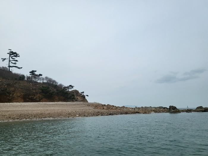 2024타경158 법원경매 사진6 | 충남 태안군 임야 경매