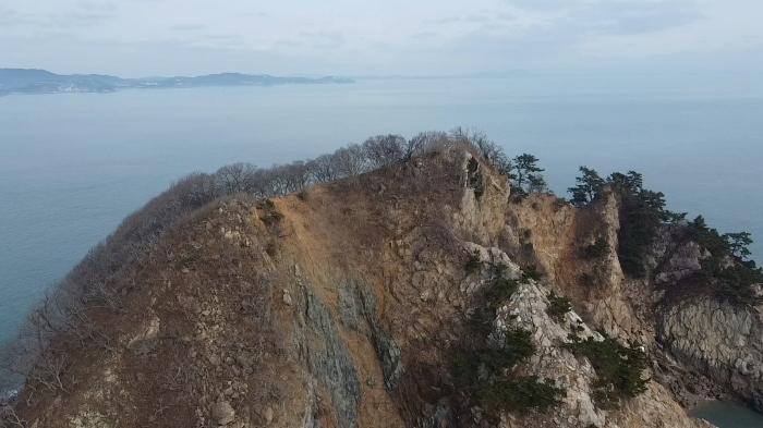 2024타경158 법원경매 사진8 | 충남 태안군 임야 경매