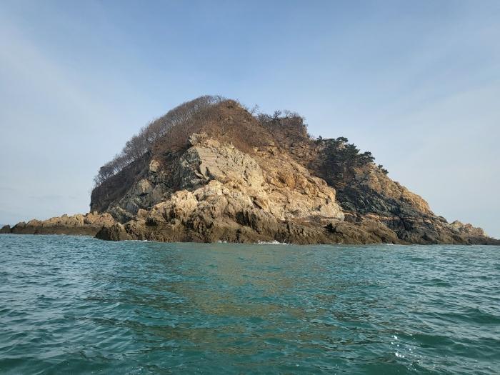 2024타경158 법원경매 사진9 | 충남 태안군 임야 경매