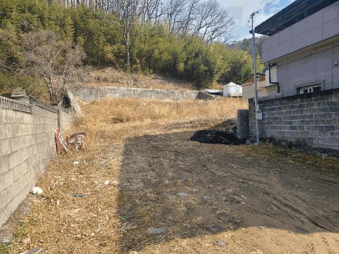 법원경매 2025타경884 사진8 | 울산 울주군 언양읍 반송리 823-1 임야 경매