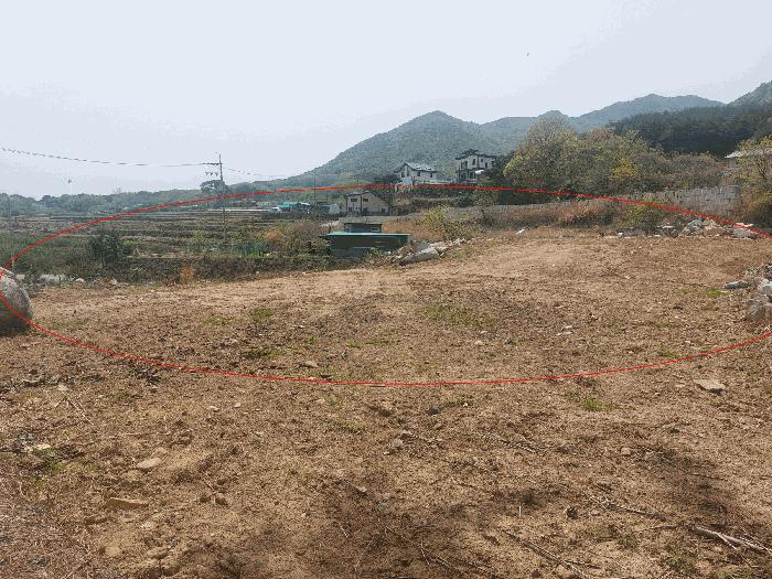 법원경매 2025타경11563 사진2 | 울산 울주군 웅촌면 은현리 1286-6 답 경매
