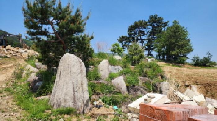 법원경매 2025타경11563 사진3 | 울산 울주군 웅촌면 은현리 1286-6 답 경매