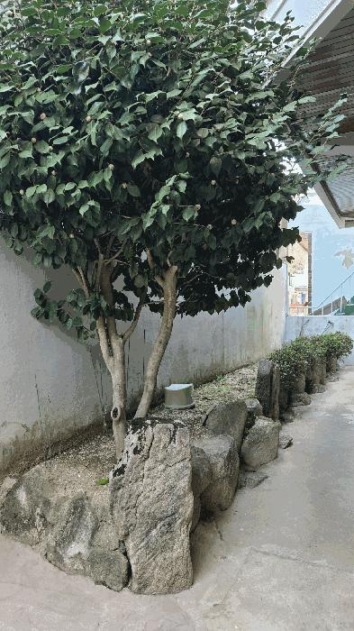 법원경매 2025타경101128 사진12 | 부산 북구 만덕동 858-1 주택건물 경매