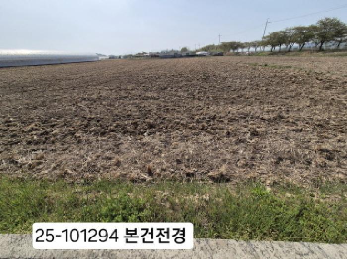 법원경매 2025타경101294 사진5 | 부산 강서구 죽동동 495-9 답 경매