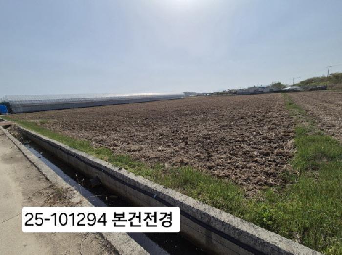 법원경매 2025타경101294 사진6 | 부산 강서구 죽동동 495-9 답 경매