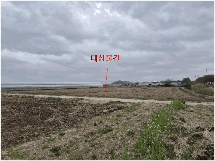 법원경매 2025타경101294 사진7 | 부산 강서구 죽동동 495-9 답 경매