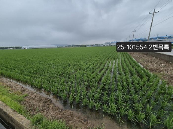 법원경매 2025타경101554 사진10 | 부산 강서구 죽동동 501-3 답 경매