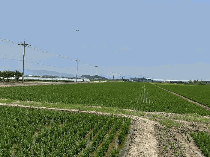 부산광역시 강서구 죽동동 501-1 법원경매 물건 대표사진