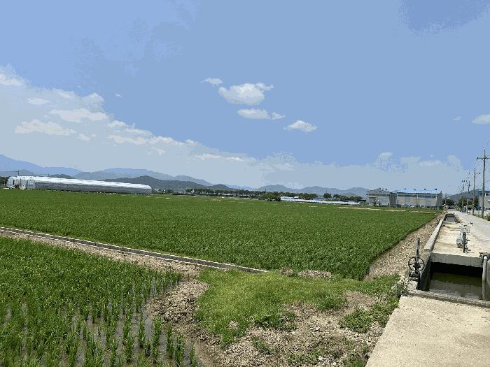 법원경매 2025타경101554 사진7 | 부산 강서구 죽동동 501-1 답 경매