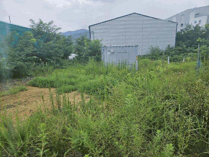 법원경매 2025타경8610 사진6 | 칠곡군 지천면 연화리 임야 경매