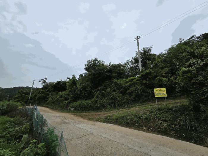 경상북도 청도군 금천면 갈지리 산59 법원경매 물건 대표사진