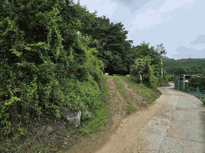 법원경매 2025타경8742 사진5 | 청도군 금천면 갈지리 임야 경매