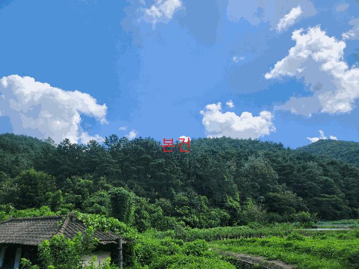 경상북도 영천시 신녕면 부산리 산11-2 법원경매 물건 대표사진