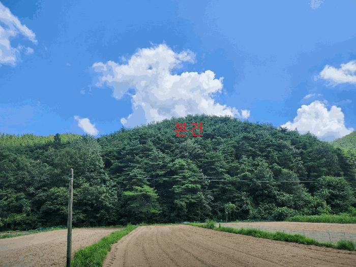 법원경매 2025타경8763 사진2 | 영천시 신녕면 부산리 임야 경매