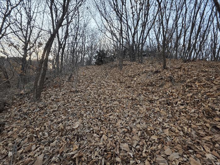 법원경매 2025타경62383 사진4 | 파주시 검산동 472-13 임야 경매
