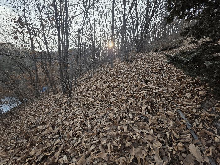 법원경매 2025타경62383 사진7 | 파주시 검산동 472-13 임야 경매