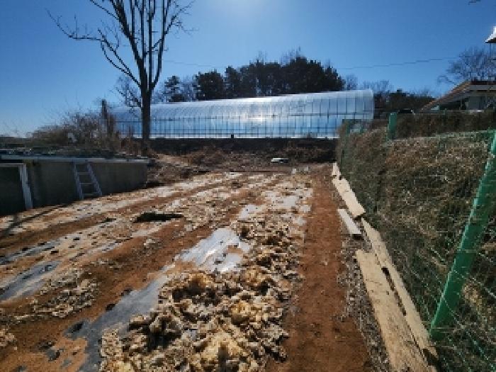 인천광역시 중구 을왕동 445 법원경매 물건 대표사진