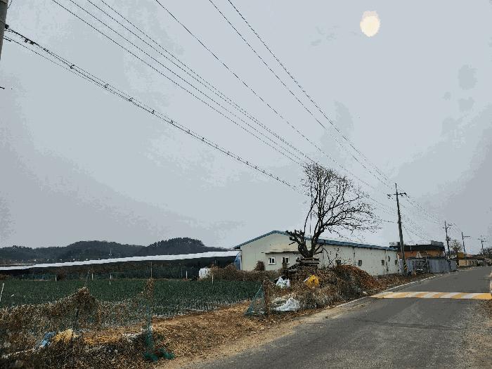 경상북도 영천시 조교동 69 법원경매 물건 대표사진