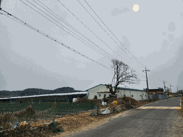 2025타경649 법원경매 사진40 | 경북 영천시 창고 경매