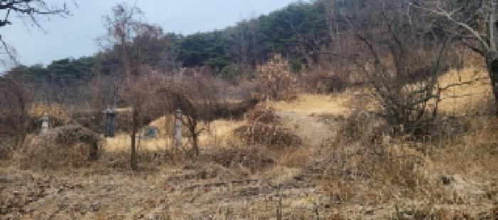 법원경매 2025타경5360 사진5 | 청도군 매전면 하평리 임야 경매