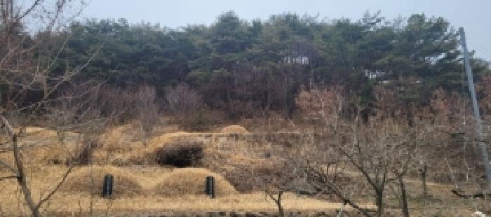 법원경매 2025타경5360 사진8 | 청도군 매전면 하평리 임야 경매