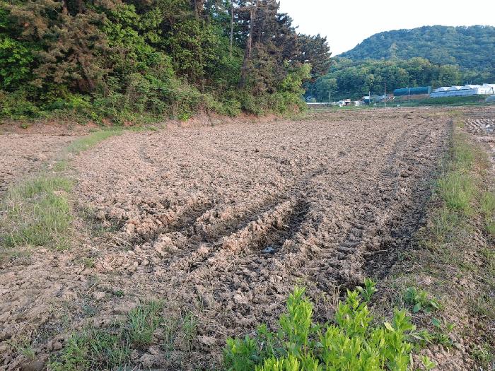 경기도 안산시 단원구 대부동동 1958 법원경매 물건 대표사진