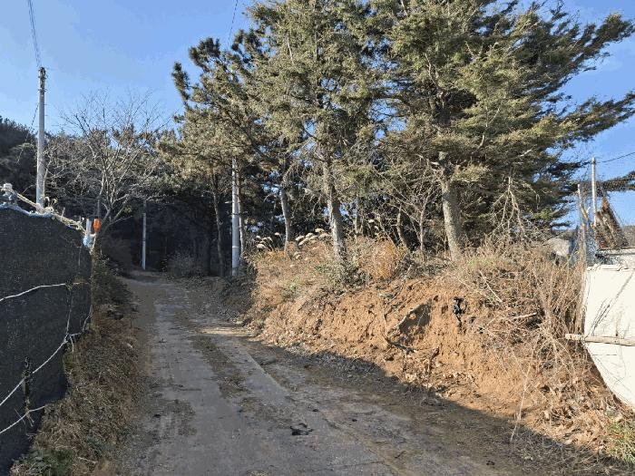 울산광역시 북구 당사동 42 법원경매 물건 대표사진