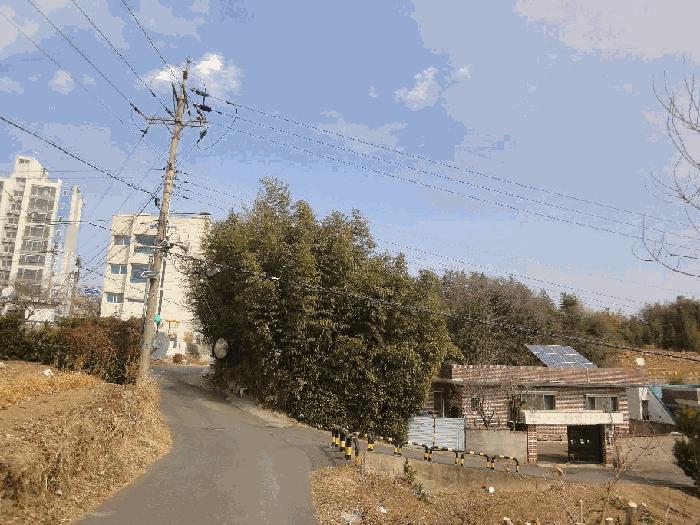 법원경매 2025타경11363 사진4 | 울산 울주군 삼남읍 교동리 978-1 대지 경매
