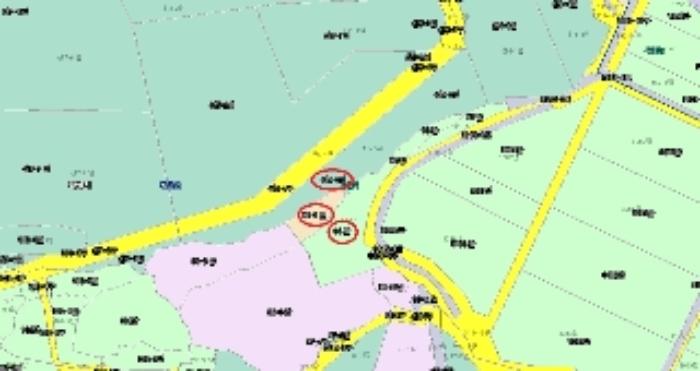 법원경매 2024타경183 사진21 | 화성시 장안면 장안리 임야 경매