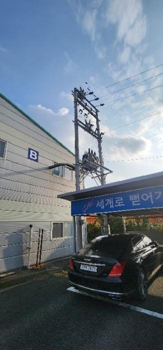 2024타경124813 법원경매 사진42 | 경북 영천시 공장 경매