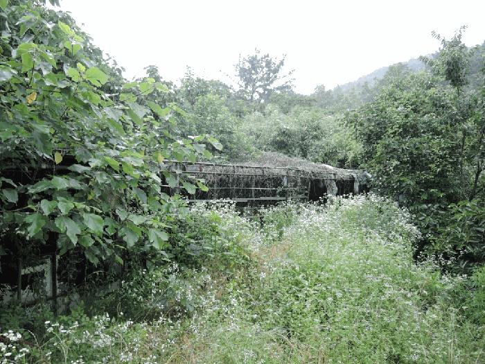법원경매 2025타경750 사진3 | 경산시 용성면 고은리 288 전 경매
