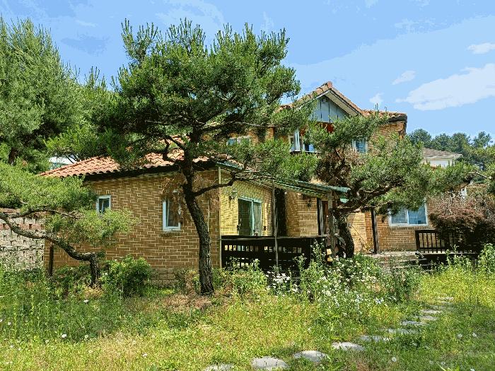 법원경매 2025타경55408 사진15 | 용인시 처인구 양지면 평창리 433-9 주택건물 경매