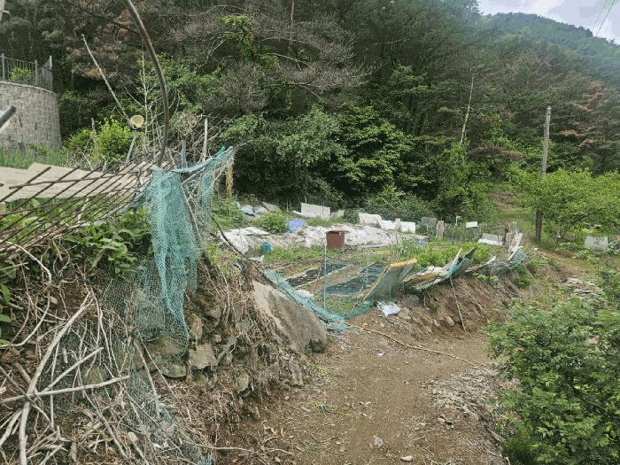 경상북도 청도군 매전면 동산리 653 법원경매 물건 대표사진