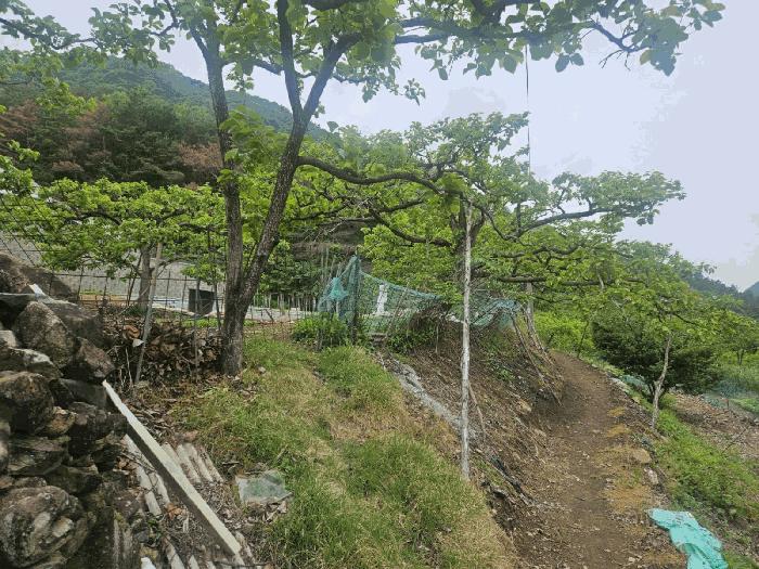 법원경매 2025타경7996 사진5 | 청도군 매전면 전 경매