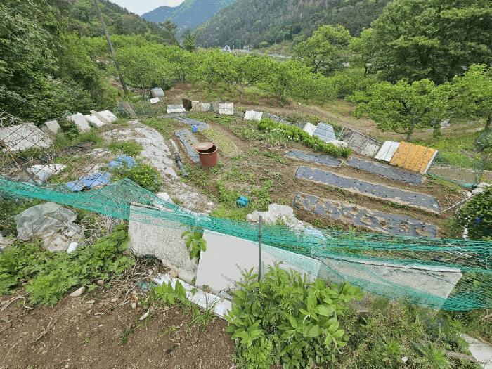 법원경매 2025타경7996 사진6 | 청도군 매전면 전 경매