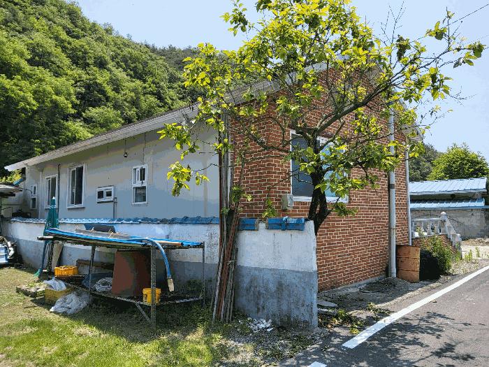 법원경매 2025타경8137 사진2 | 영천시 임고면 평천리 113-4 주택건물 경매